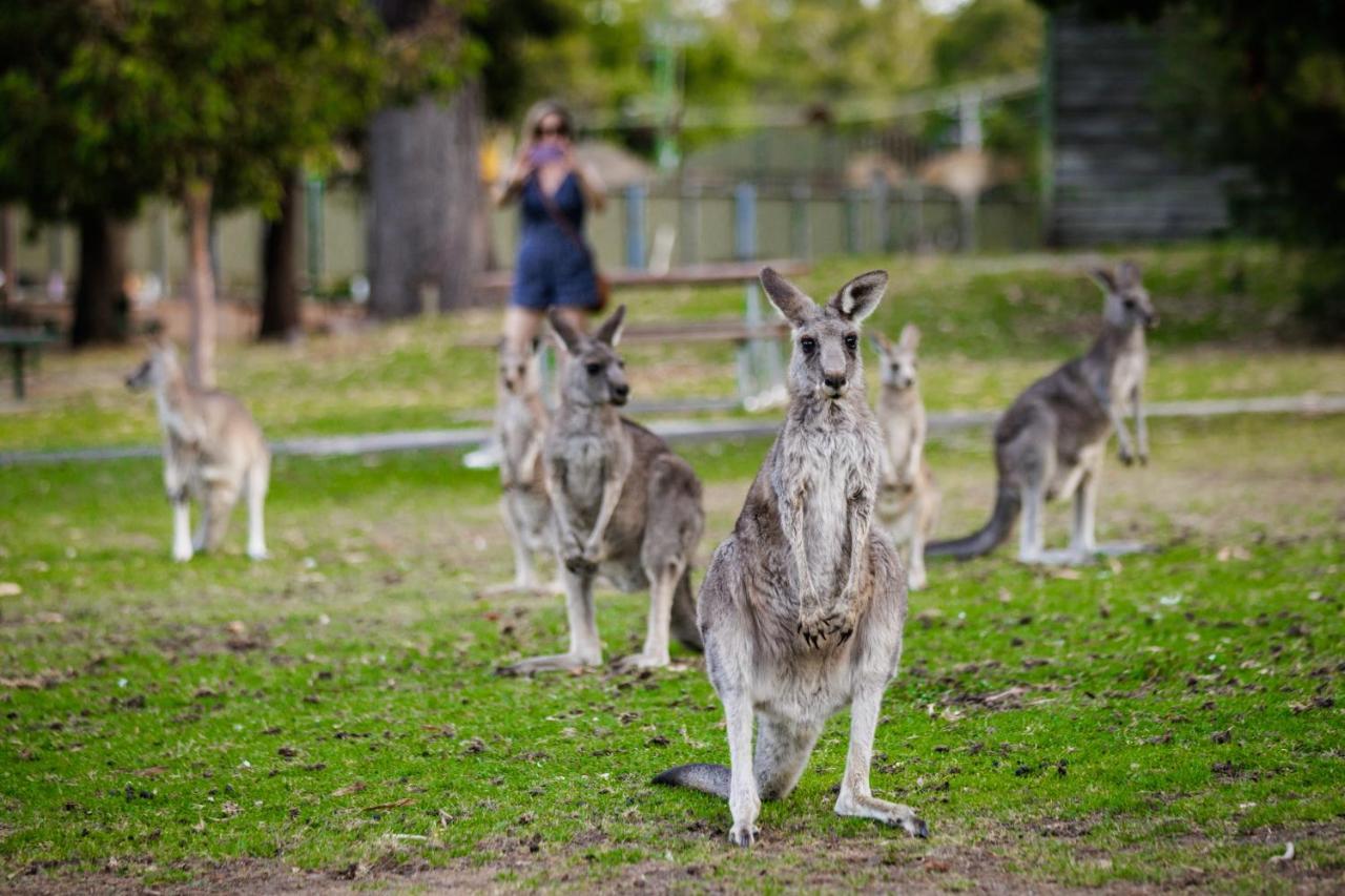Yha Grampians Eco, Холс Гап Екстериор снимка