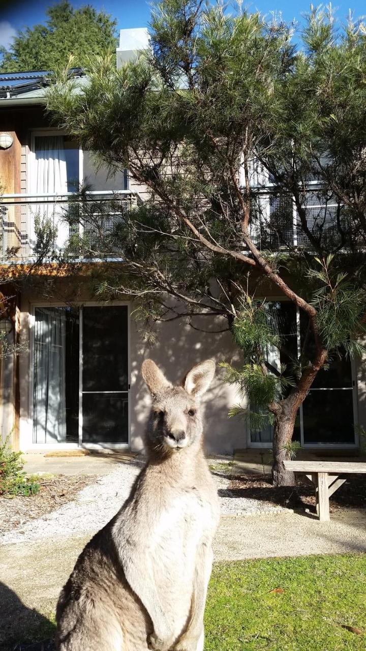 Yha Grampians Eco, Холс Гап Екстериор снимка