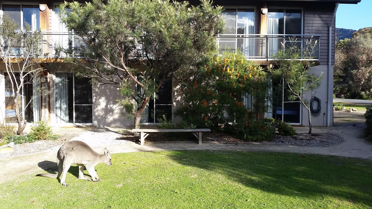 Yha Grampians Eco, Холс Гап Екстериор снимка