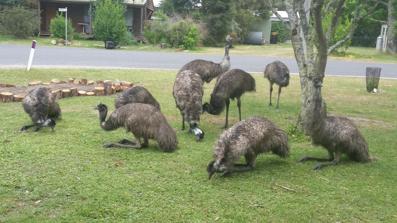 Yha Grampians Eco, Холс Гап Екстериор снимка